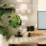resized_420199